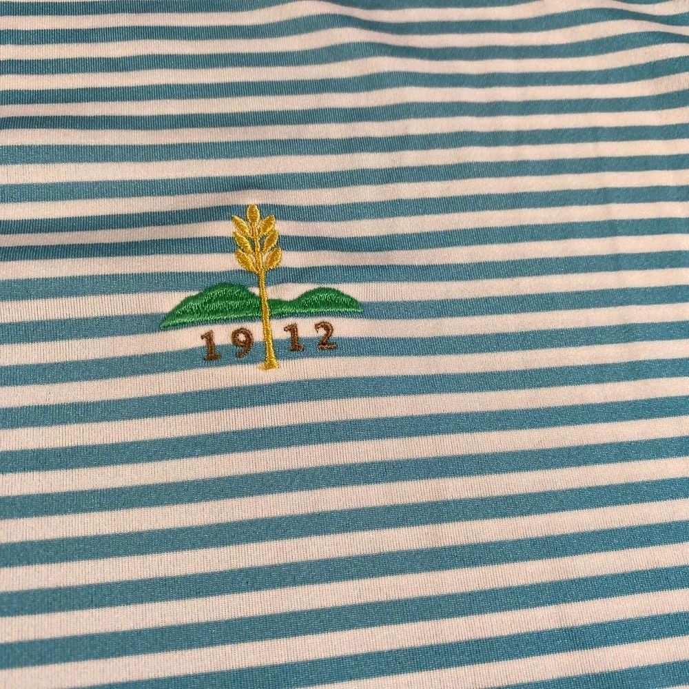 RLX Ralph Lauren Golf Polo Shirt Mens Size XL Blue Striped Performance